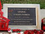 image of grave number 939757